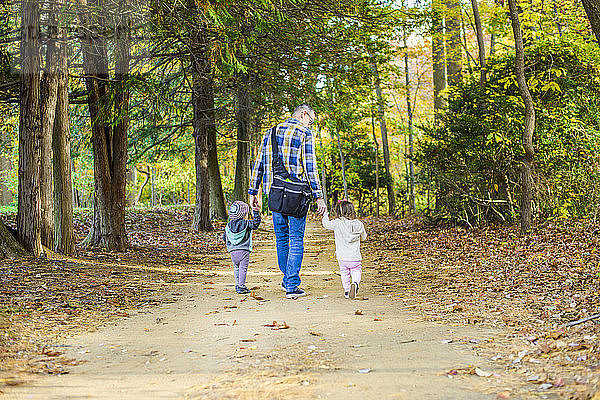Rückansicht eines Vaters mit Töchtern  die im Wald spazieren gehen