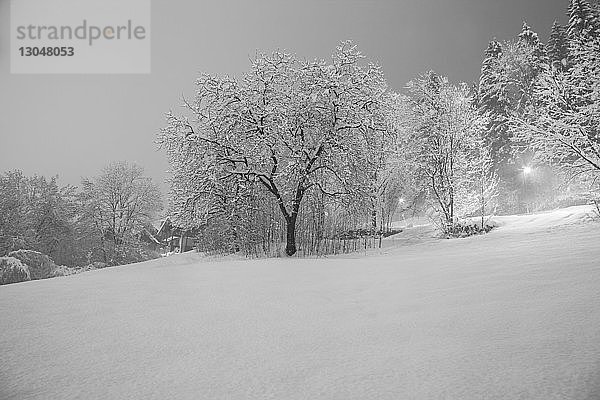 Szenische Ansicht von Bäumen auf verschneitem Feld gegen den Himmel