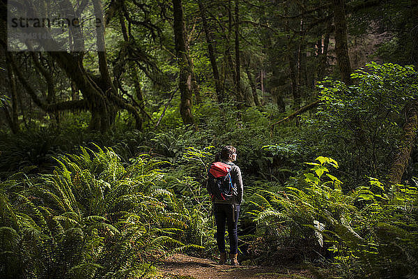 Rückansicht einer Wanderin mit Rucksack  die inmitten des Waldes im Redwood National- und Staatspark steht