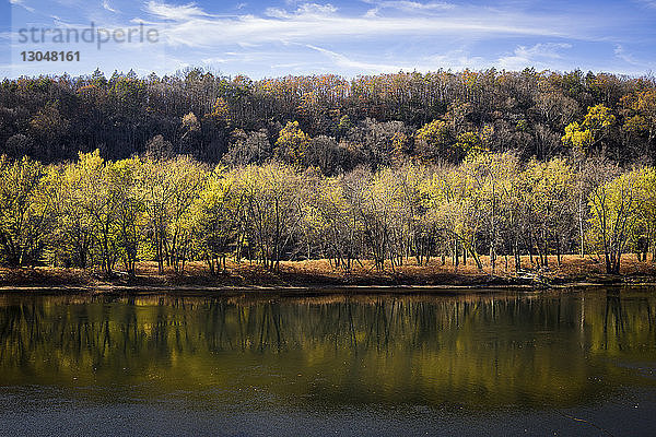 Landschaftliche Ansicht des Sees an Bäumen gegen den Himmel im Wald im Herbst