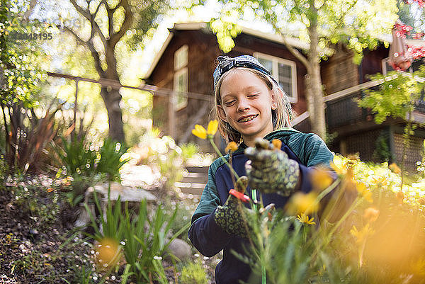 Glücklicher Junge schneidet Blumen  während er im Garten steht