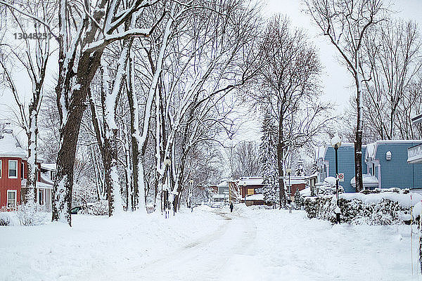 Schneebedeckter Fussweg inmitten kahler Bäume bei Häusern