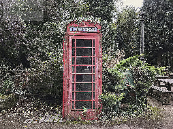 Verlassene Telefonzelle gegen Pflanzen und Bäume in der Stadt