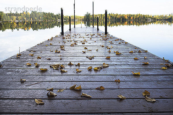 Holzsteg über ruhigem See im Herbst