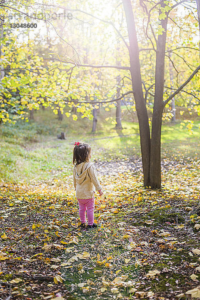 Rückansicht eines Mädchens  das bei sonnigem Wetter auf einem Grasfeld im Park steht