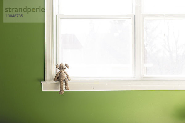 Teddybär auf heimischem Fensterbrett