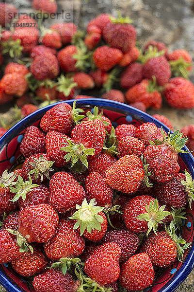 Nahaufnahme von frischen Erdbeeren im Container