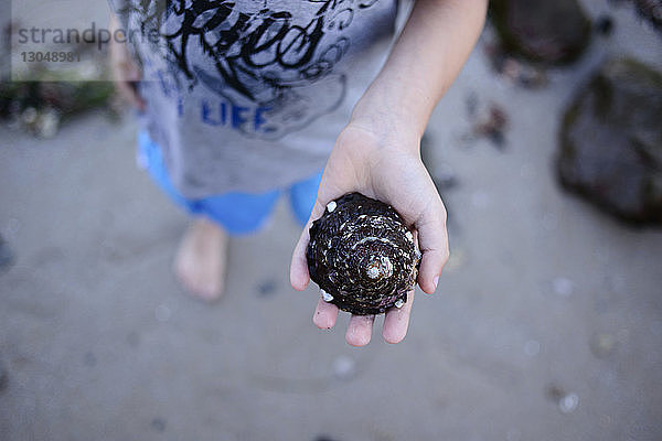 Draufsicht auf einen Jungen mit Muschel in der Hand am Laguna Beach