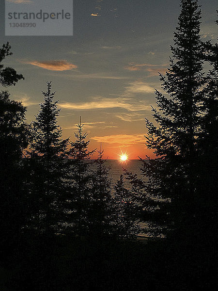 Landschaftliche Ansicht von Baumsilhouetten am Meer gegen den Himmel bei Sonnenuntergang