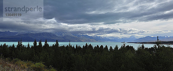 Panoramabild des Waldes gegen die Wolkenlandschaft