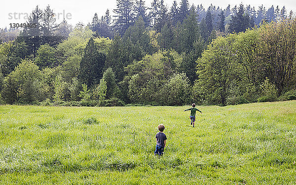 Rückansicht von Brüdern  die auf einem Grasfeld im Wald spazieren