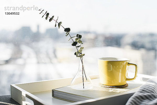 Nahaufnahme von Zweigen in Vase auf Tagebuch bei Kaffeetasse gegen Fenster