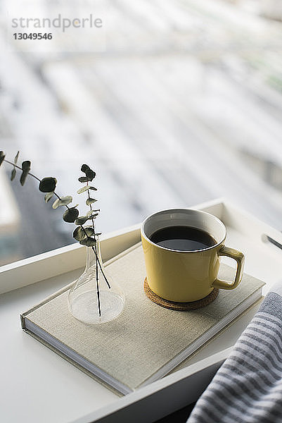 Hochwinkelansicht von Zweigen in Vase auf Tagebuch bei Kaffeetasse gegen Fenster