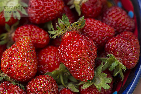 Nahaufnahme von frisch geernteten Erdbeeren im Container