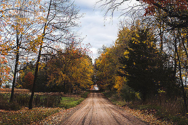 Unbefestigte Straße zwischen Bäumen im Herbst im Park