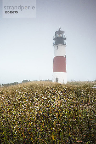 Niedrigwinkelansicht des Sankaty Head-Leuchtturms auf Grasfeld gegen klaren Himmel bei nebligem Wetter