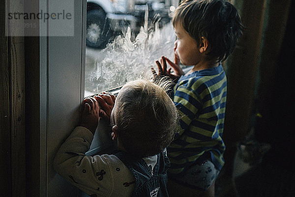 Rückansicht der Geschwister  die zu Hause durch das Fenster schauen