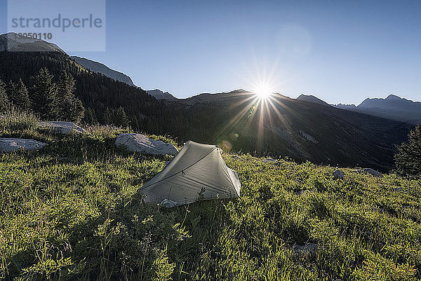 Szenenansicht des Zeltes auf dem Feld bei klarem Himmel an einem sonnigen Tag