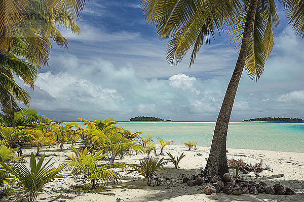 Kokosnusspalmen am Strand vor bewölktem Himmel