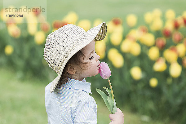 Rückansicht eines Mädchens  das eine Tulpenblume auf dem Feld küsst