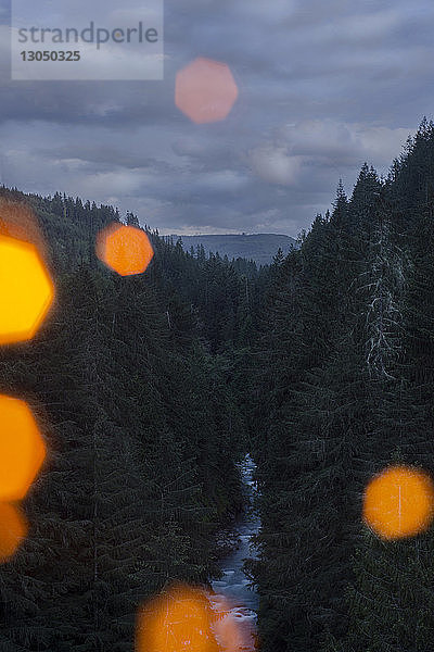 Landschaftliche Ansicht des Flusses  der zwischen Bäumen gegen stürmische Wolken im Mount Rainier National Park fließt