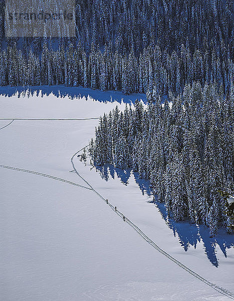Hochwinkelansicht von Personen  die auf einem schneebedeckten Feld gegen Bäume laufen