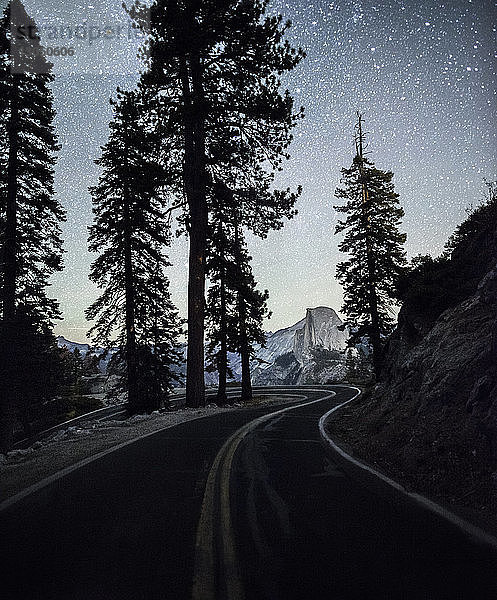 Straße im Yosemite-Nationalpark an Silhouettenbäumen vorbei gegen den nächtlichen Sternenhimmel