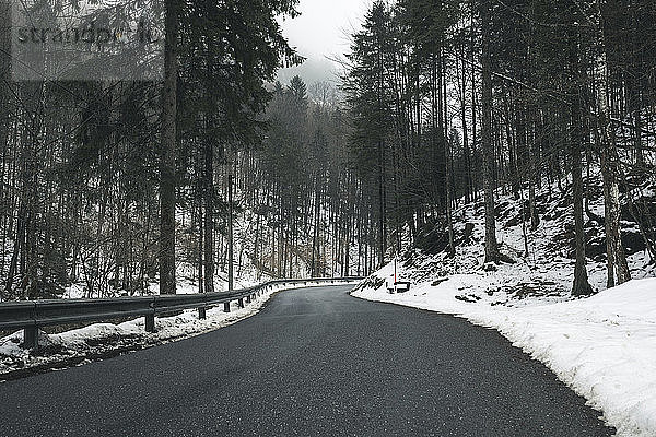 Leere Straße zwischen Bäumen im Wald im Winter