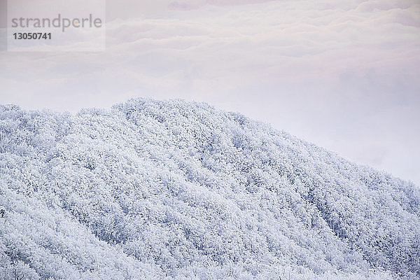 Schneebedeckte Bäume auf Berg gegen Himmel