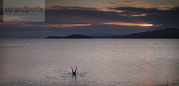 Person springt bei Sonnenuntergang ins Meer