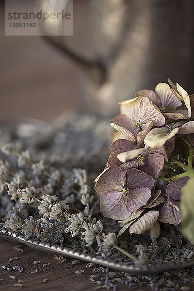 Nahaufnahme einer trockenen Hortensie mit Lavendel auf Holztisch