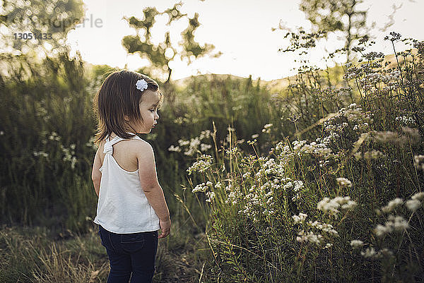 Rückansicht eines auf dem Feld stehenden Mädchens  das Blumen betrachtet