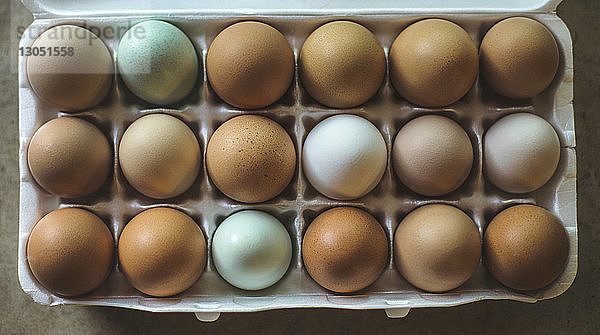 Draufsicht auf den Eierkarton