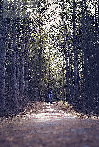 Junge in voller Länge auf Feldweg inmitten von Wald stehend