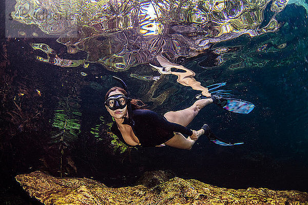 Cenotentauchen  Cenote Crystalino  Tulum  Quintana Roo  Mexiko