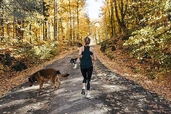 Frau joggt mit Hunden im Wald