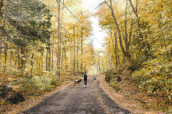 Frau joggt mit Hunden im Wald
