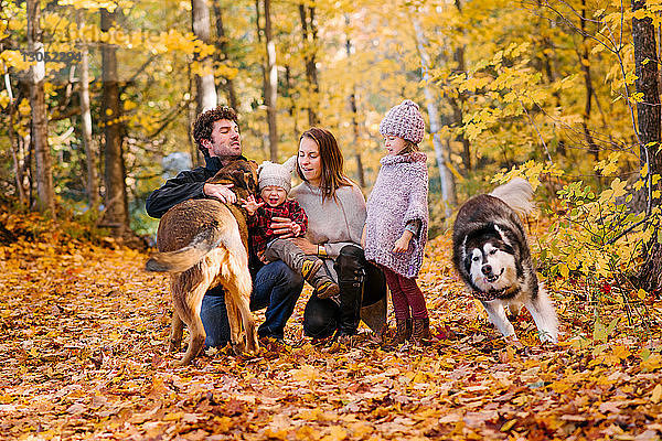 Vierköpfige Familie und Hunde im Wald