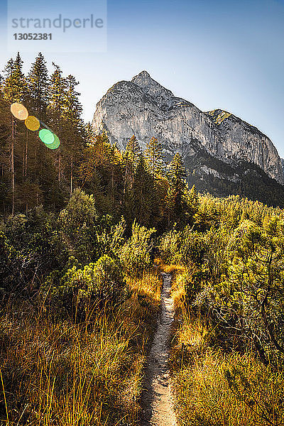 Wanderweg  Karwendelregion  Hinterriss  Tirol  Österreich