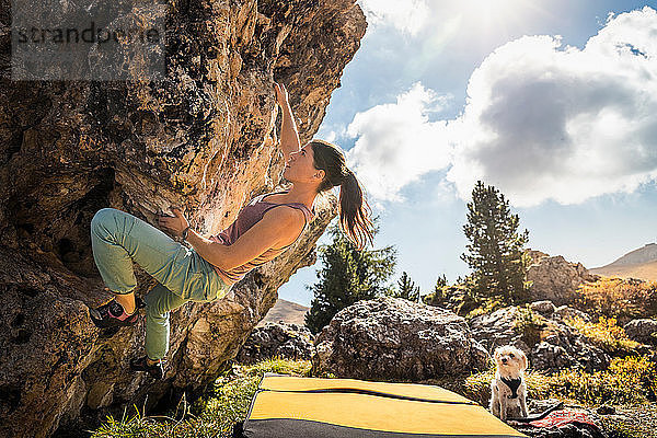 Frau beim Bouldern mit ihrem Hund beim Beobachten  Città dei Sassi oder Steinerne Stadt  Dolomiten