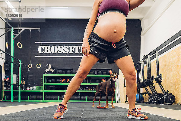 Schwangere Frau im Fitnessstudio  Haushund im Hintergrund