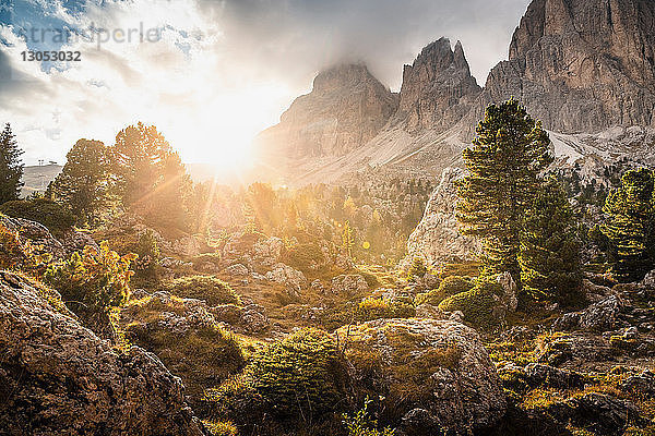 Boulderort  Città dei Sassi oder Steinerne Stadt  Dolomiten