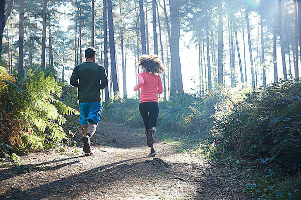 Läuferinnen und Läufer laufen im sonnenbeschienenen Wald  Rückansicht