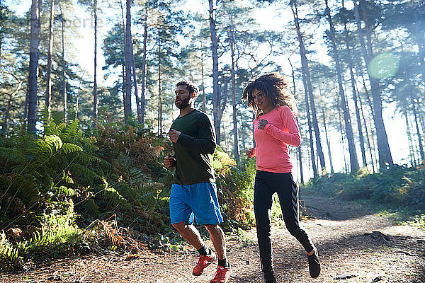 Weibliche und männliche Läufer laufen gemeinsam im sonnenbeschienenen Wald