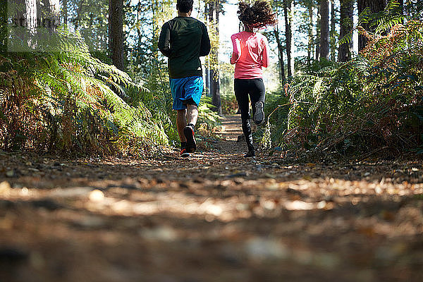 Im Wald laufende Läufer und Läuferinnen  Rückansicht