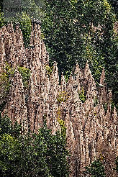 Erdpyramiden oder Erdsäulen  Dolomiten  Lengmoos  Trentino-Südtirol  Italien