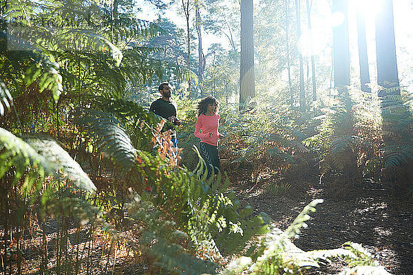 Weibliche und männliche Läufer laufen gemeinsam durch sonnenbeschienene Waldfarne