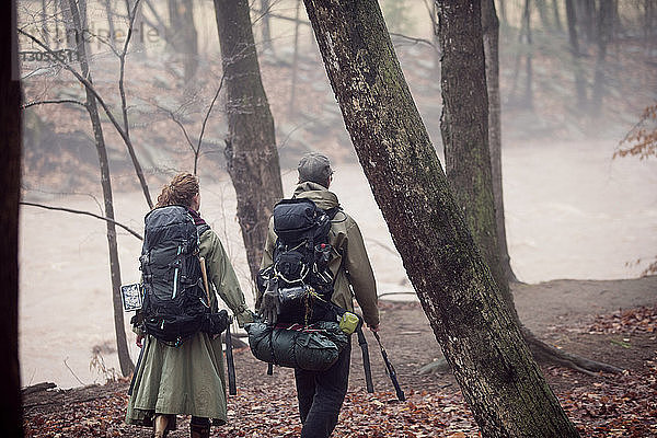 Rückansicht eines Paares  das am Fluss im Wald spazieren geht