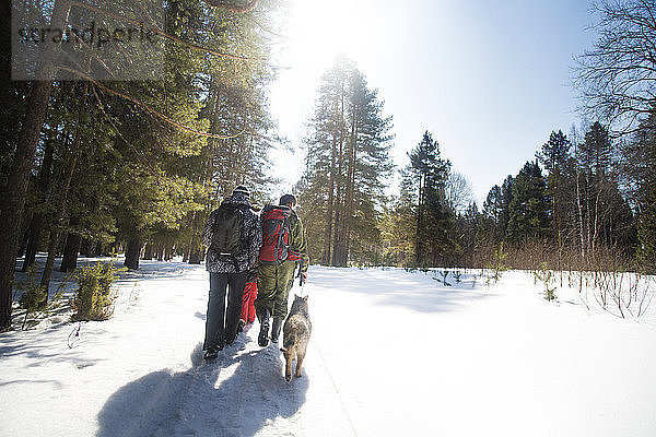 Rückansicht von Freunden und Hund beim Spaziergang auf einem schneebedeckten Feld an einem sonnigen Tag