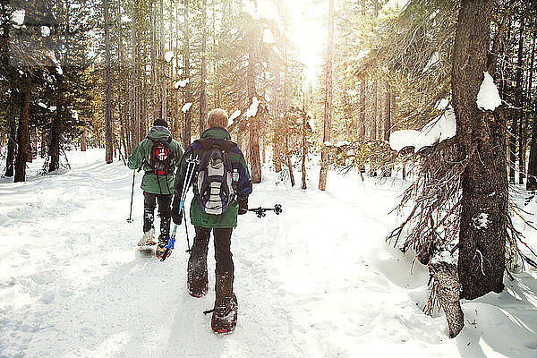 Skifahrer wandern im Winter im Wald